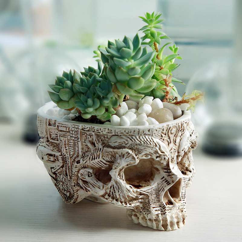 Creative Skull Planter Resin Pot for Indoor Decor