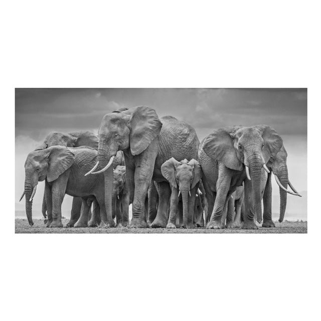 Custom Canvas Art for Wholesale on AliExpress & Amazon